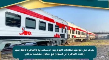 تعرف على مواعيد قطارات اليوم بين الإسكندرية والقاهرة وخط سير رحلات القاهرة إلى أسوان مع جداول مفصلة للركاب